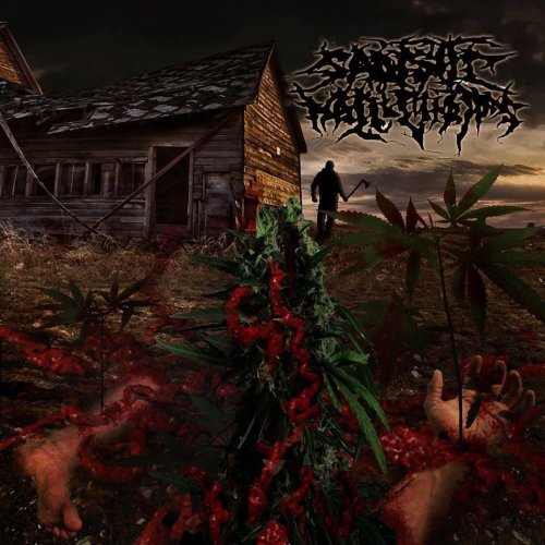 Sadistic Hallucinations - Cadaver Compost (2018) Album Info