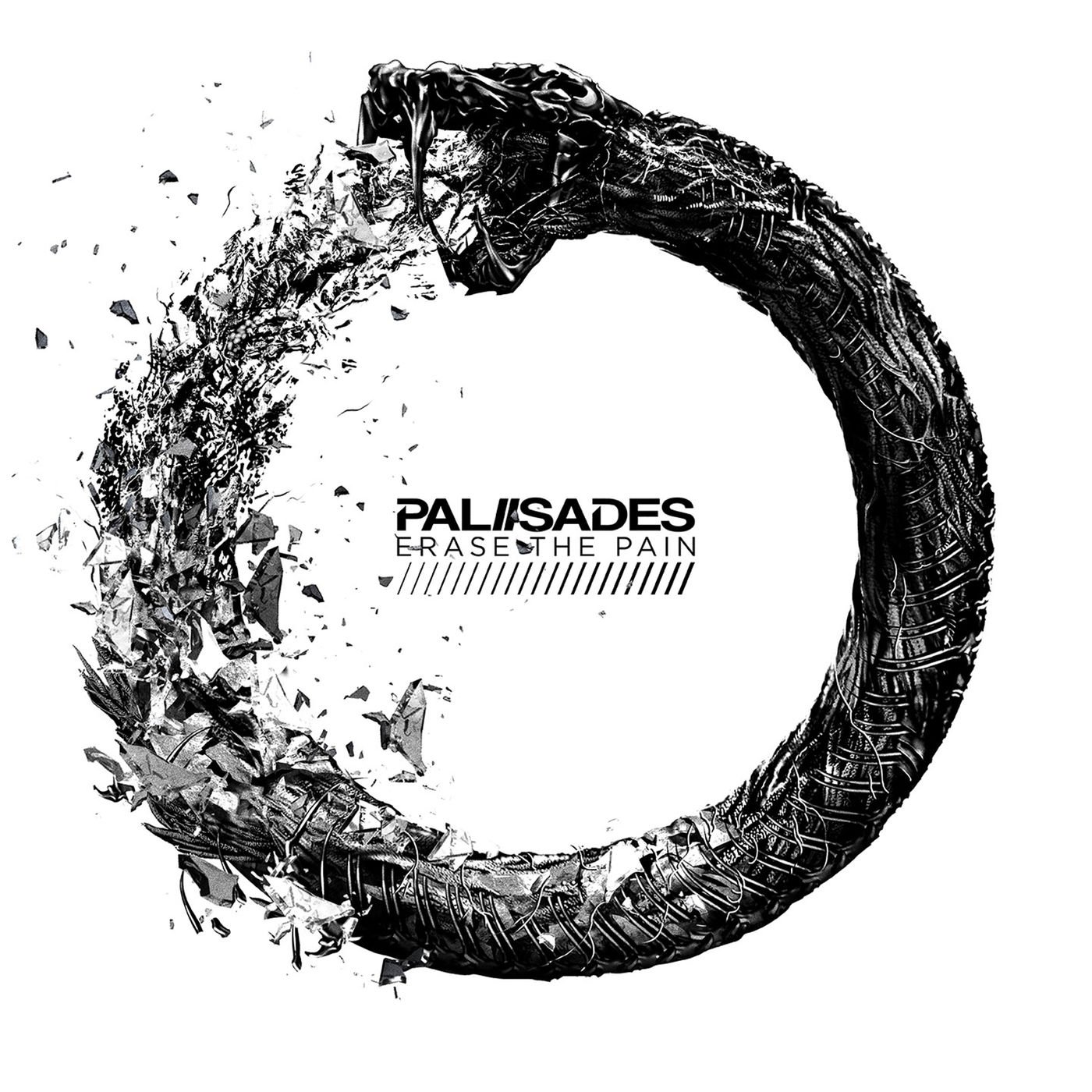 Palisades - Erase the Pain (2018) Album Info